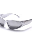 Silver Frame w/ Black lenses